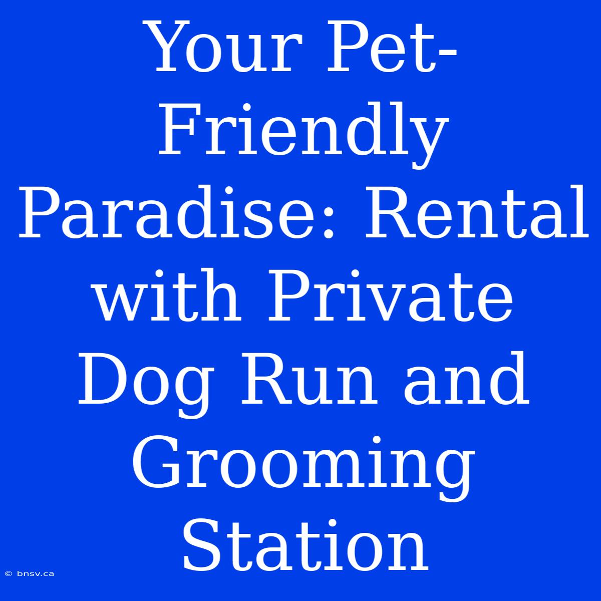 Your Pet-Friendly Paradise: Rental With Private Dog Run And Grooming Station