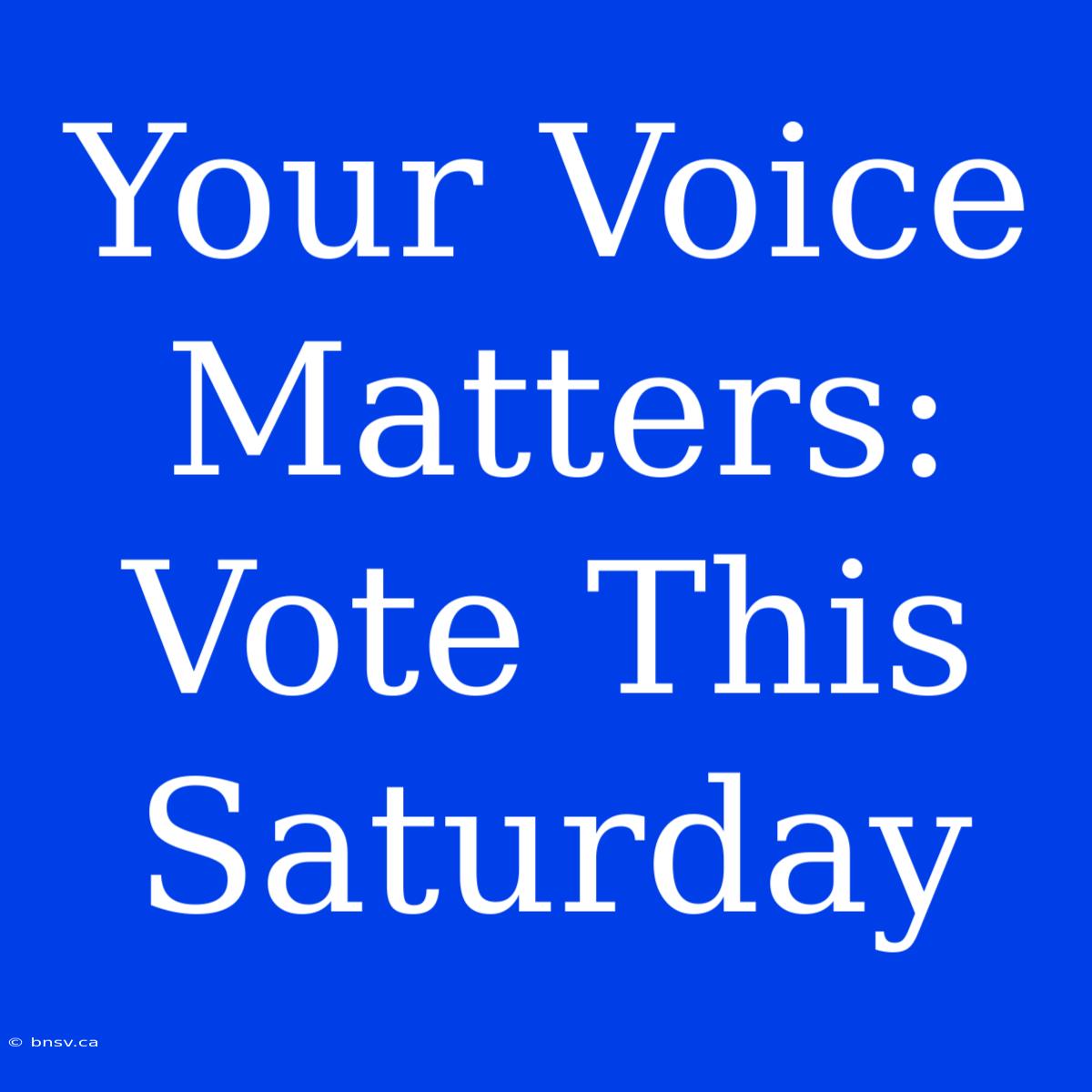 Your Voice Matters: Vote This Saturday