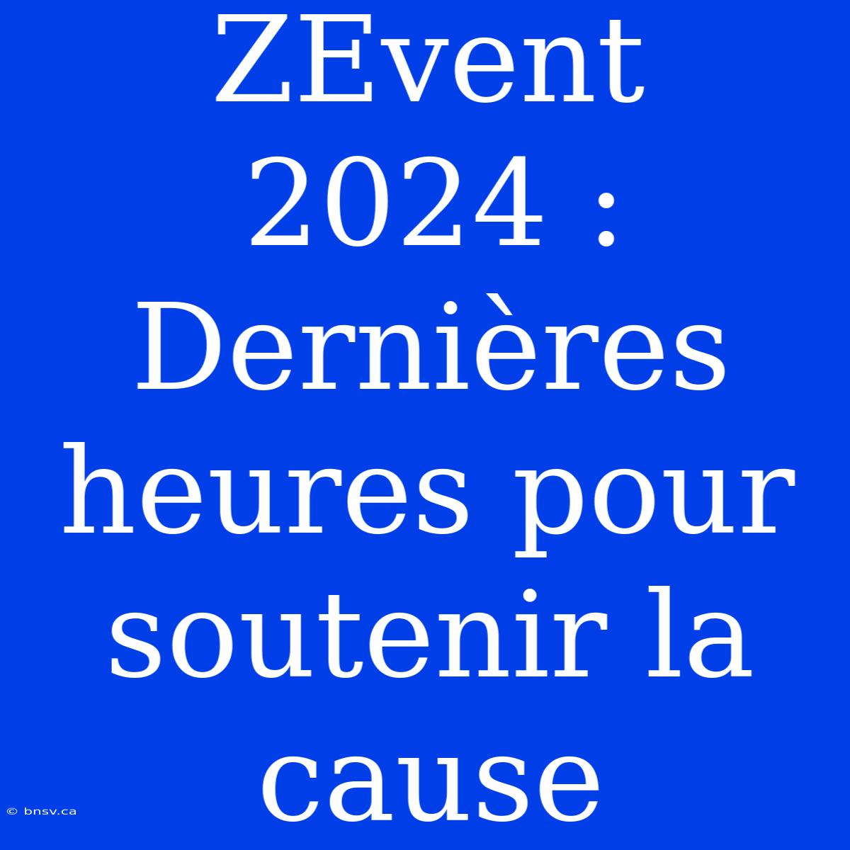 ZEvent 2024 : Dernières Heures Pour Soutenir La Cause