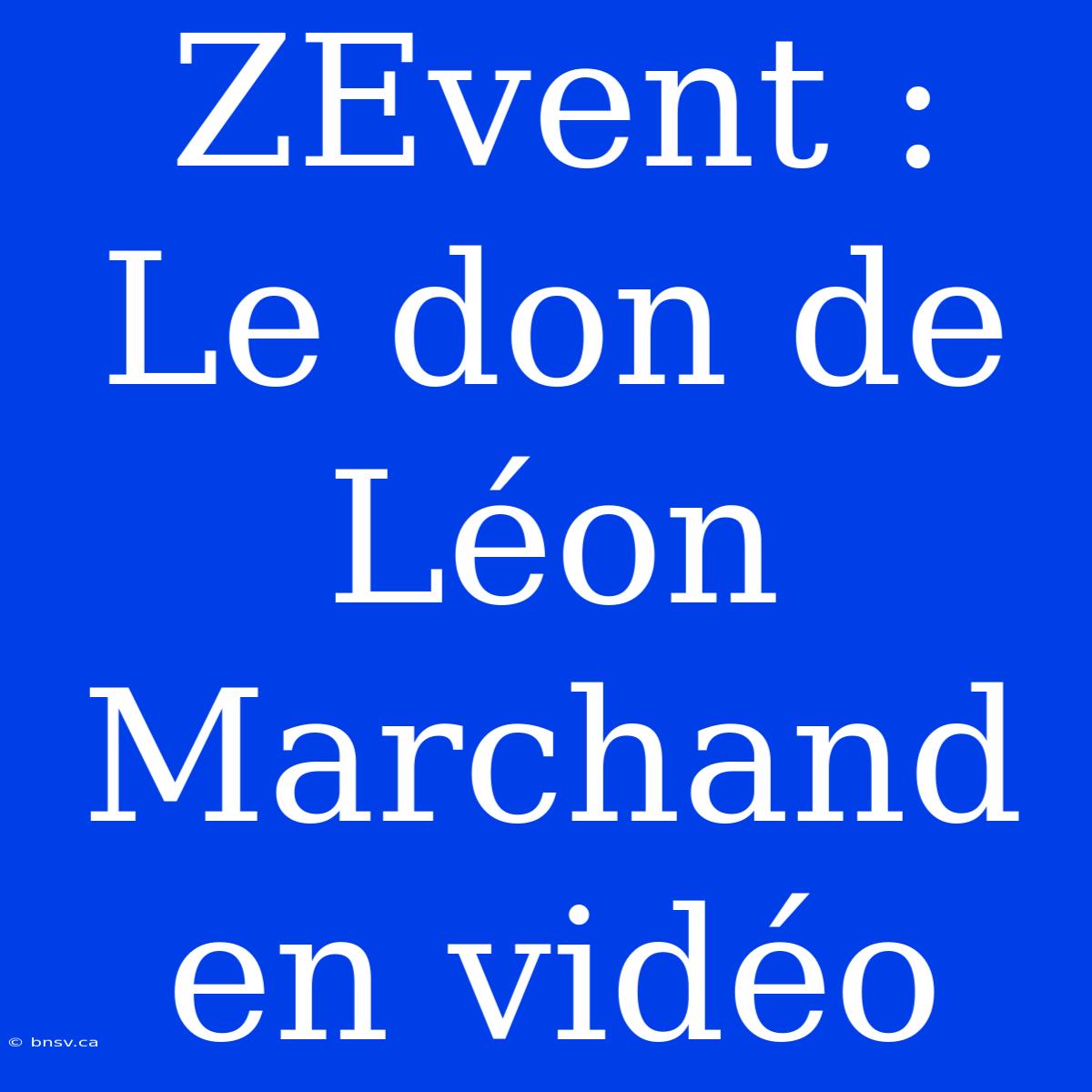 ZEvent : Le Don De Léon Marchand En Vidéo