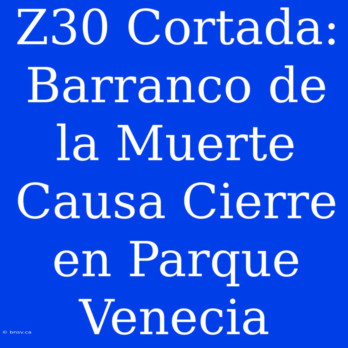 Z30 Cortada: Barranco De La Muerte Causa Cierre En Parque Venecia