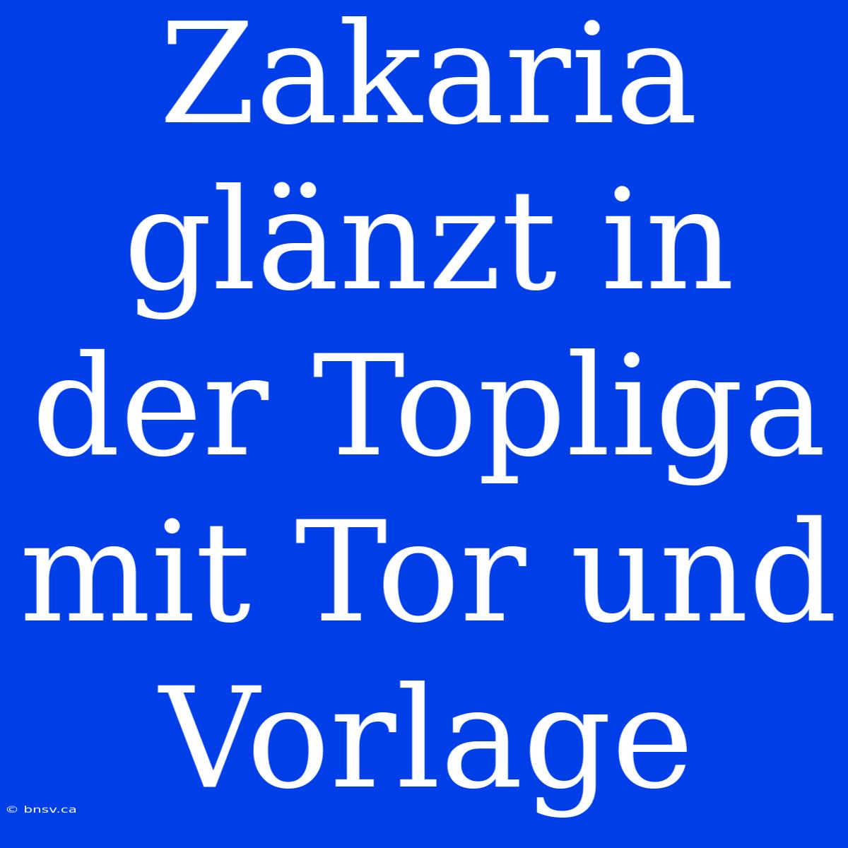 Zakaria Glänzt In Der Topliga Mit Tor Und Vorlage