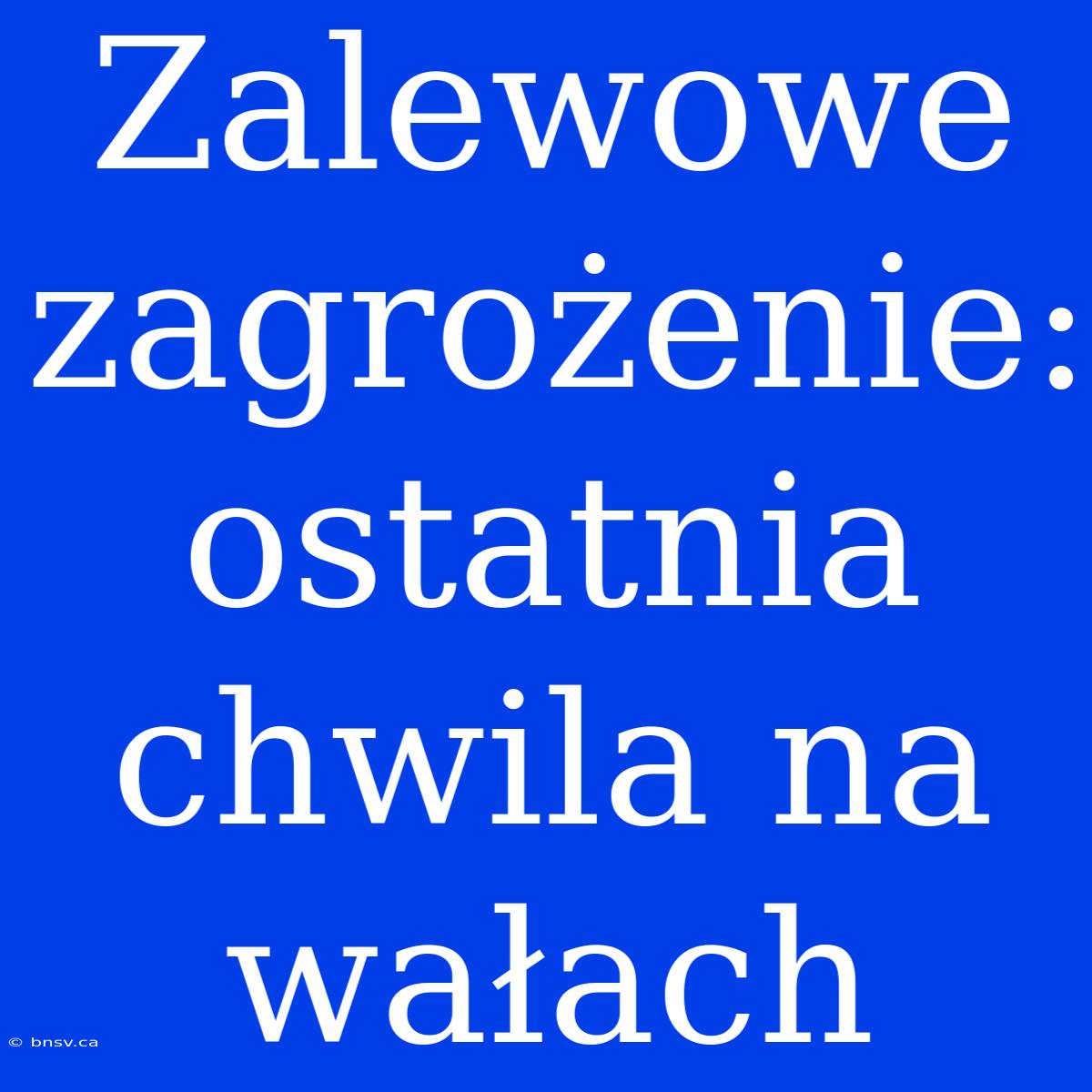 Zalewowe Zagrożenie: Ostatnia Chwila Na Wałach