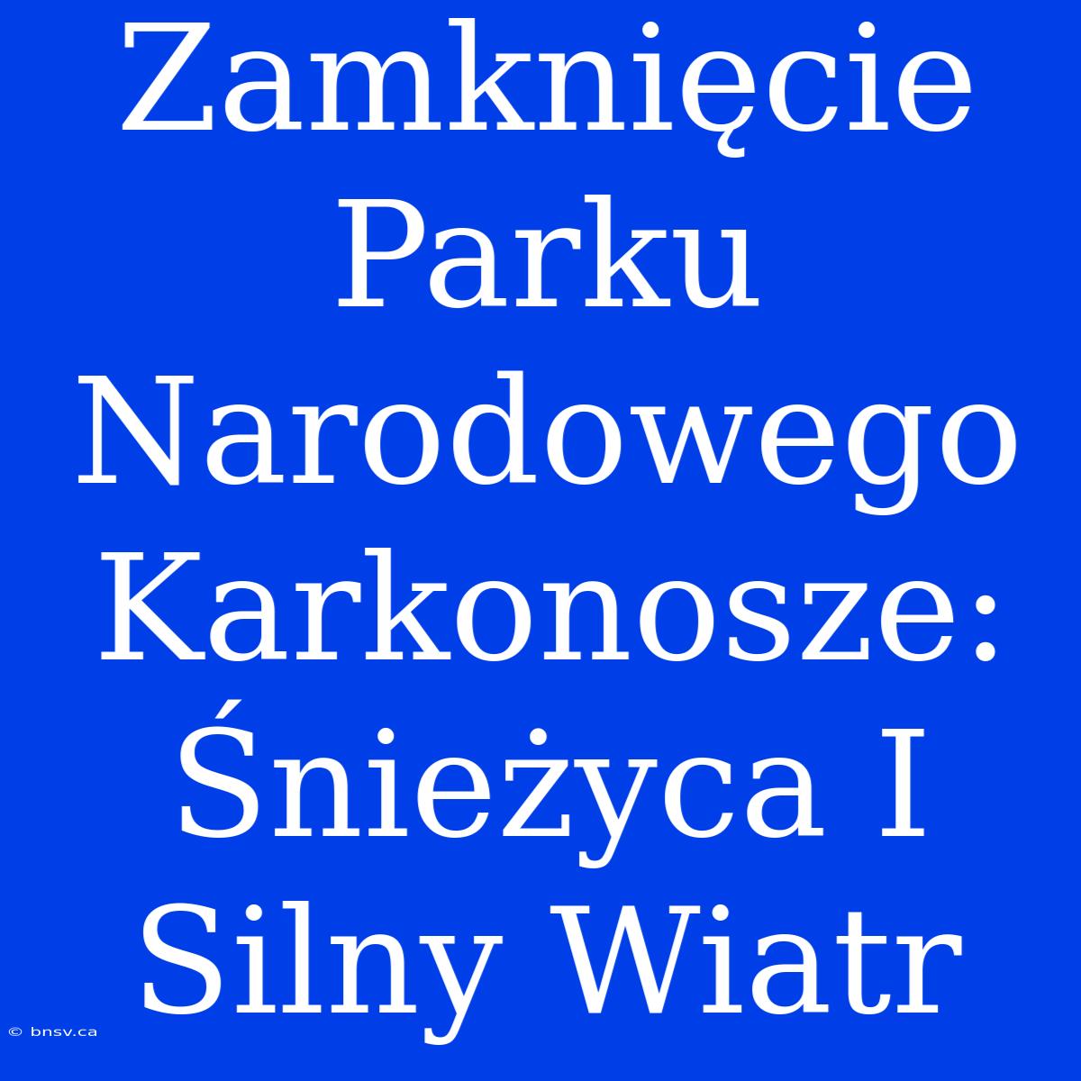 Zamknięcie Parku Narodowego Karkonosze: Śnieżyca I Silny Wiatr