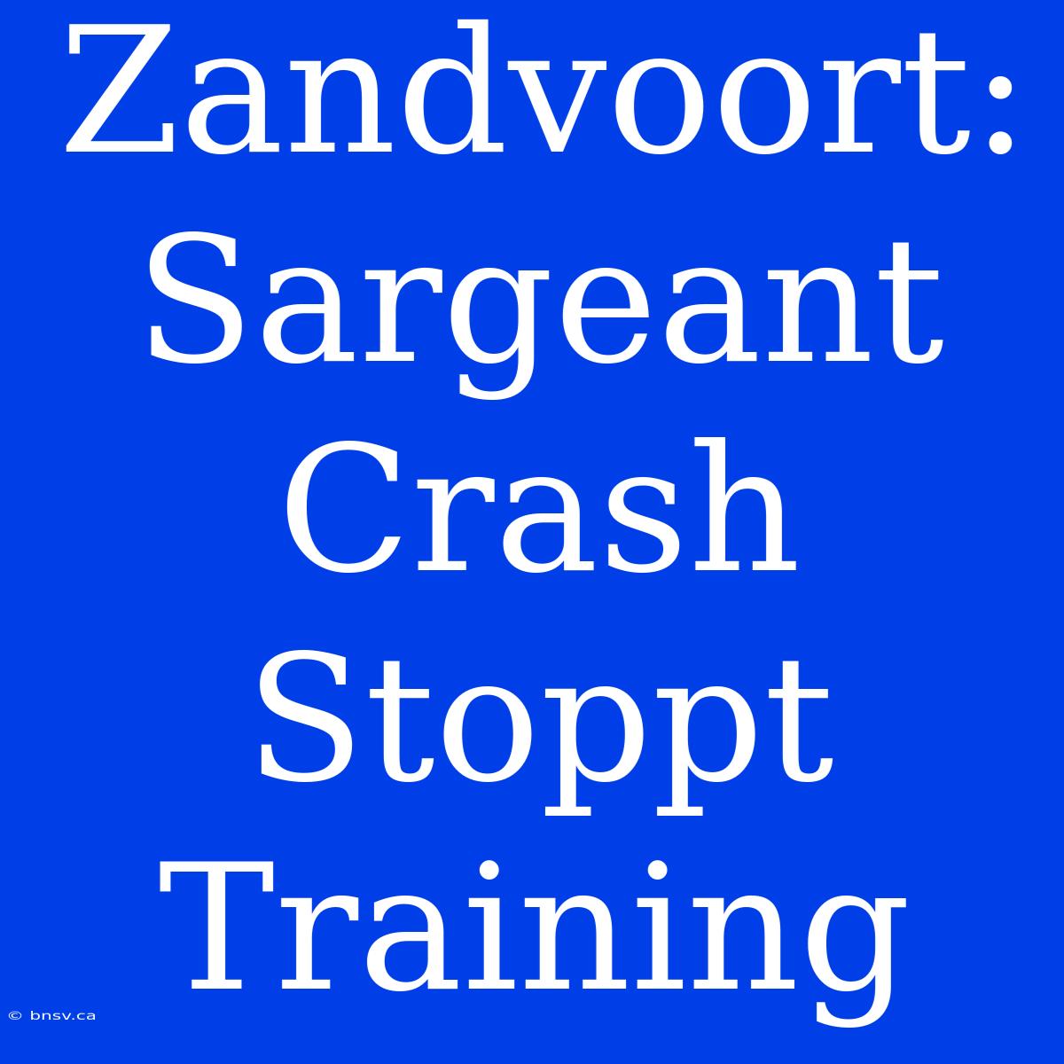 Zandvoort: Sargeant Crash Stoppt Training