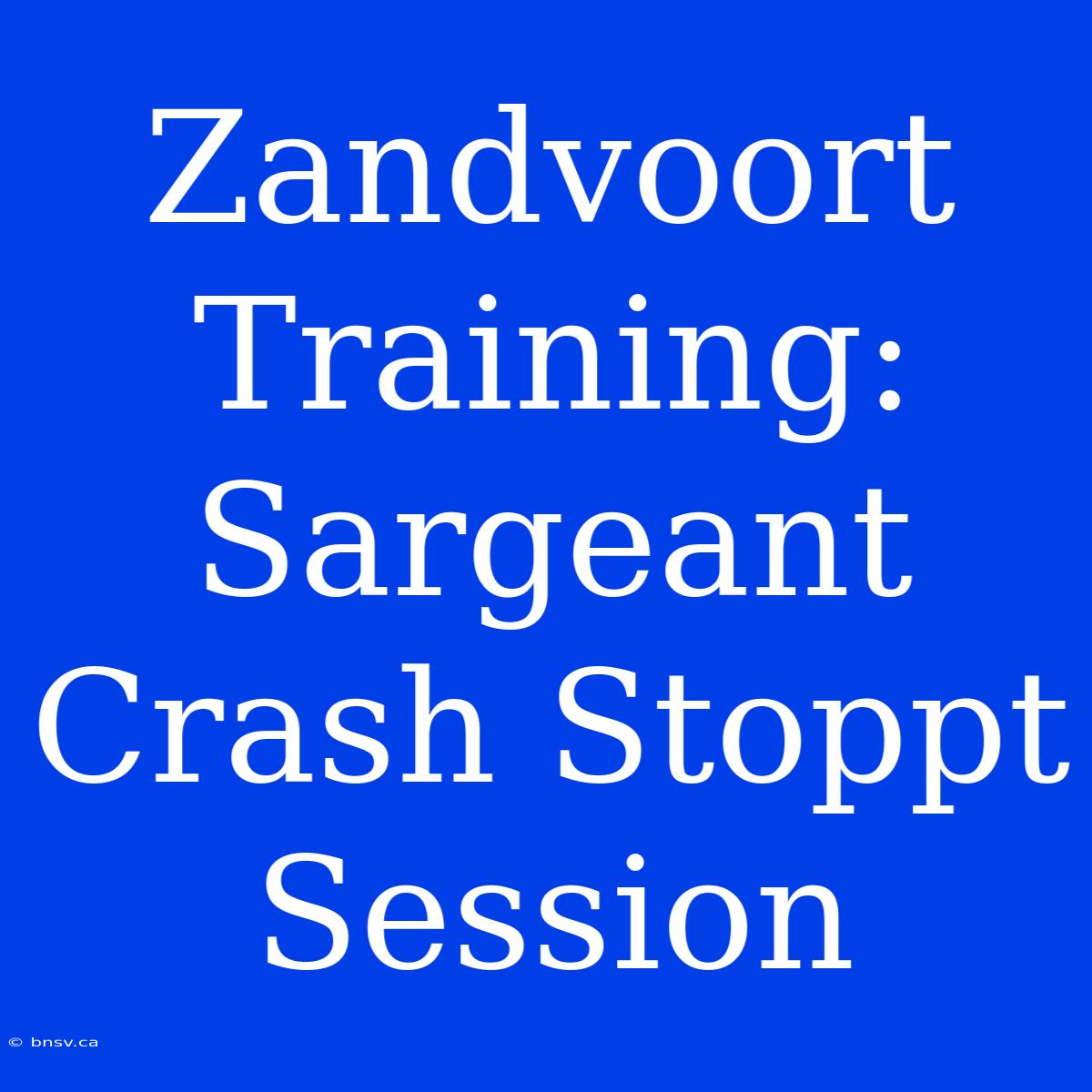 Zandvoort Training: Sargeant Crash Stoppt Session