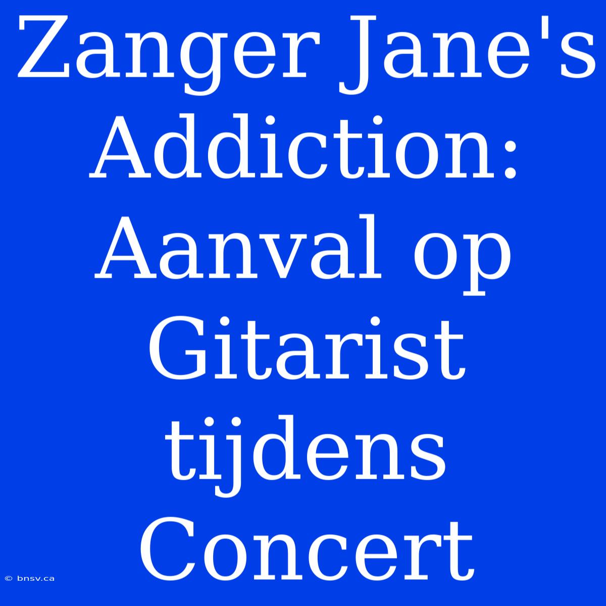 Zanger Jane's Addiction: Aanval Op Gitarist Tijdens Concert