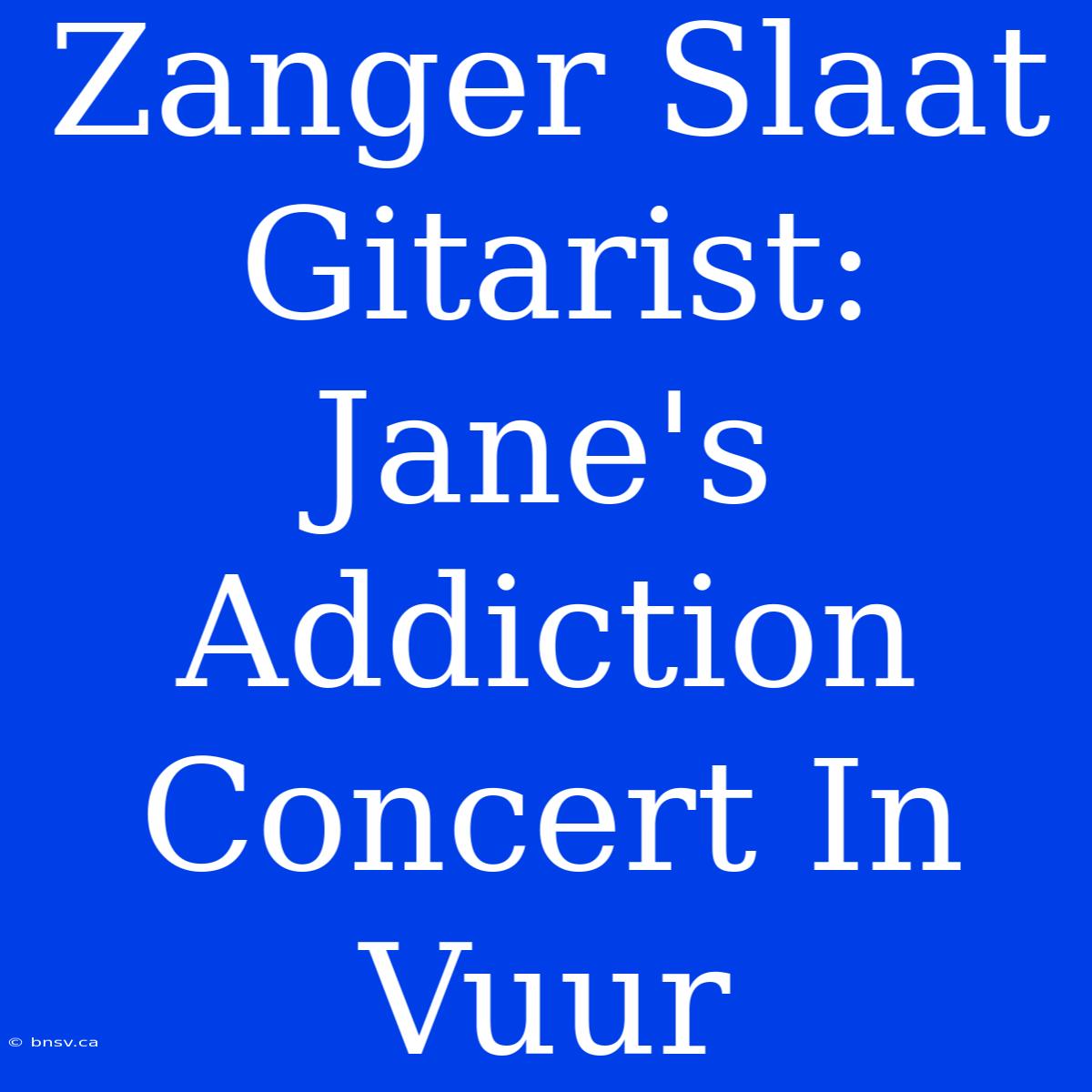 Zanger Slaat Gitarist: Jane's Addiction Concert In Vuur