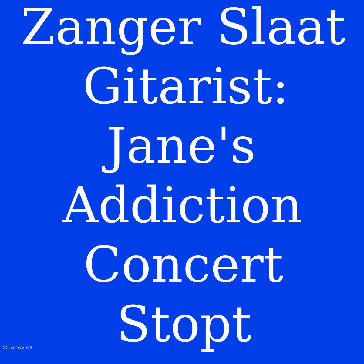 Zanger Slaat Gitarist: Jane's Addiction Concert Stopt