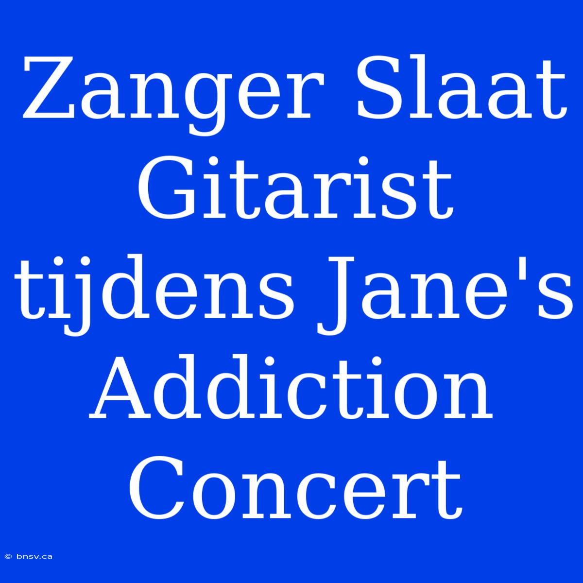 Zanger Slaat Gitarist Tijdens Jane's Addiction Concert