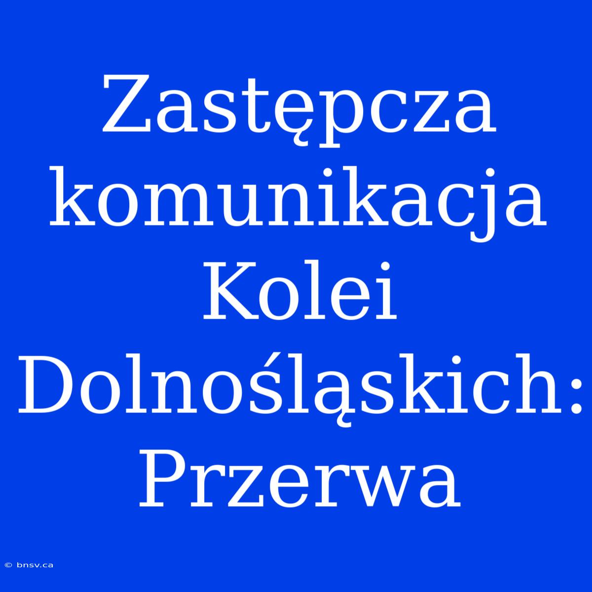 Zastępcza Komunikacja Kolei Dolnośląskich: Przerwa