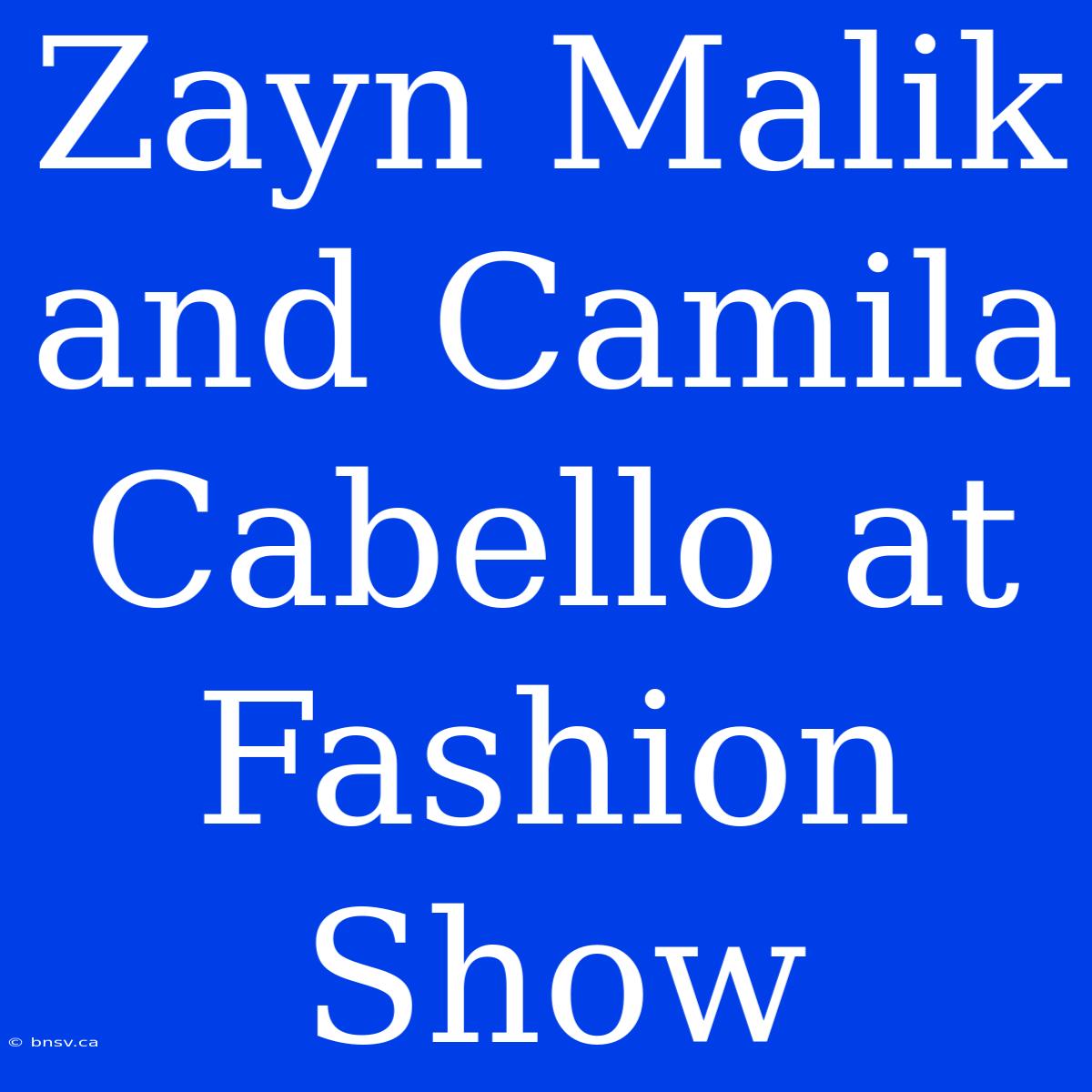 Zayn Malik And Camila Cabello At Fashion Show