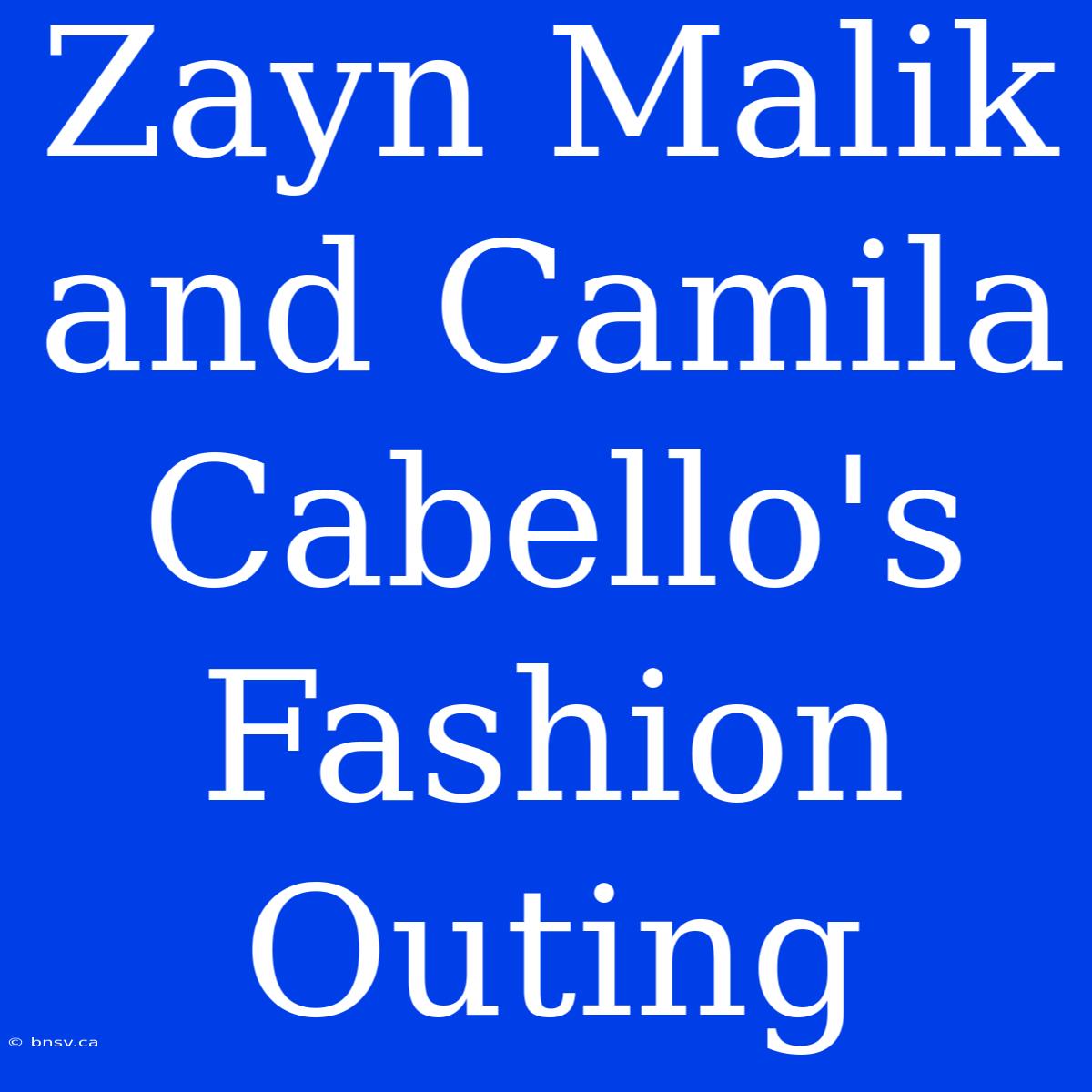 Zayn Malik And Camila Cabello's Fashion Outing