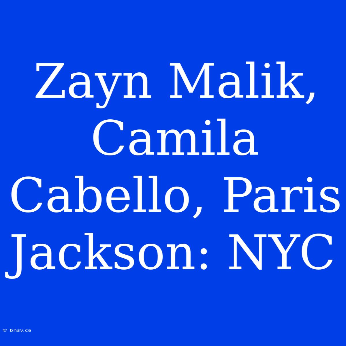 Zayn Malik, Camila Cabello, Paris Jackson: NYC