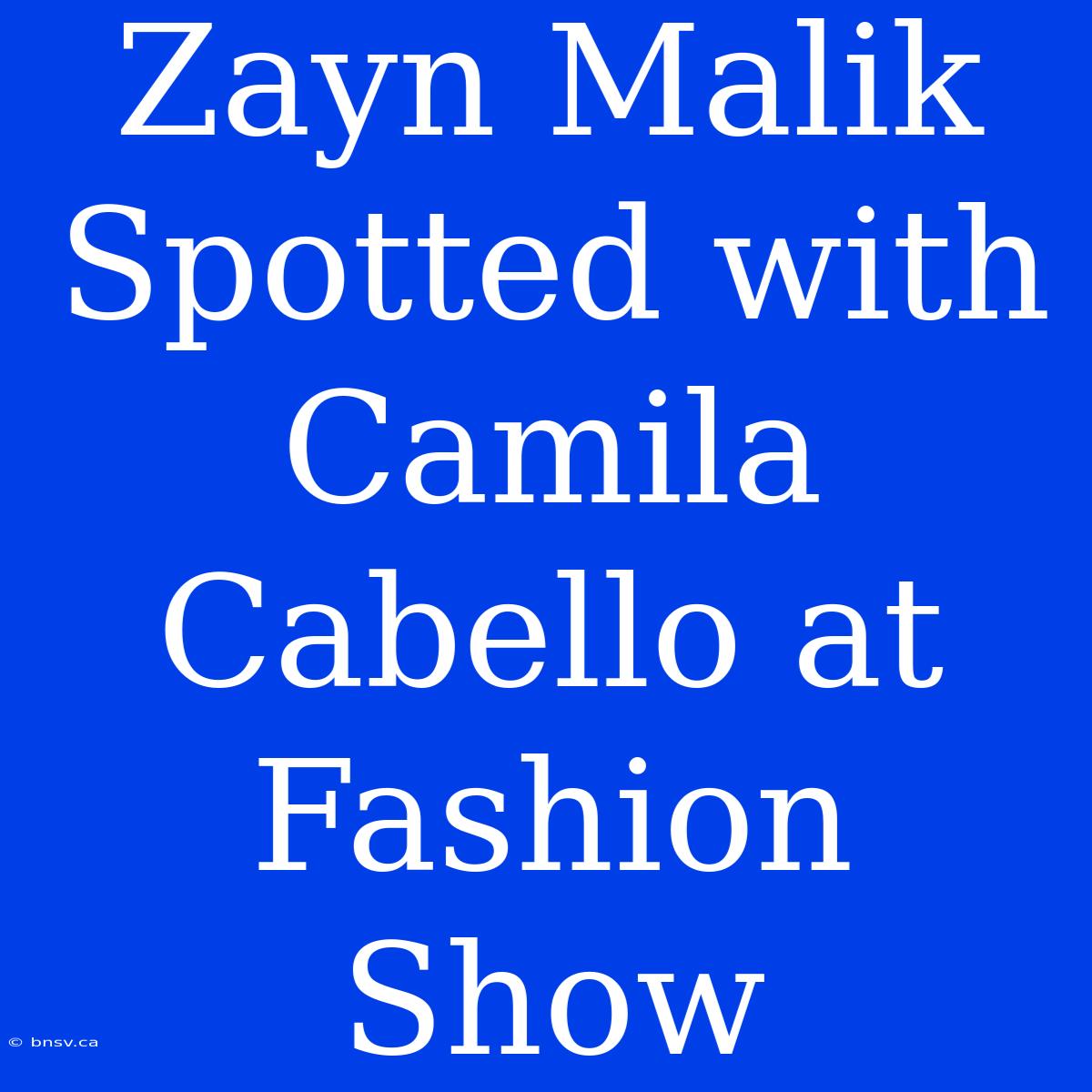 Zayn Malik Spotted With Camila Cabello At Fashion Show