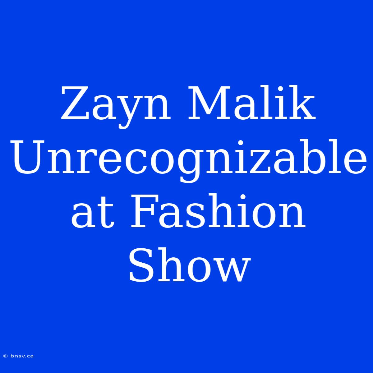 Zayn Malik Unrecognizable At Fashion Show