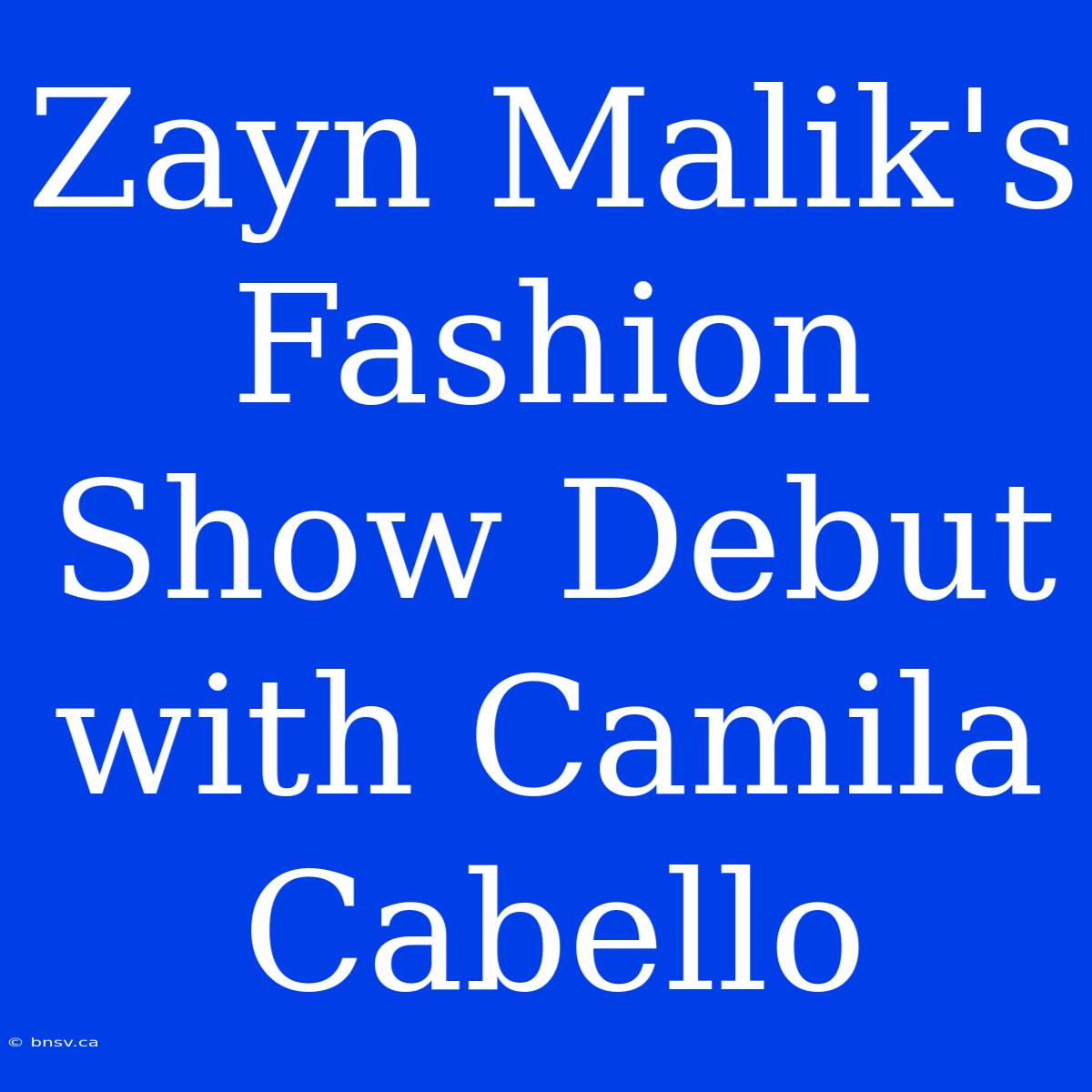 Zayn Malik's Fashion Show Debut With Camila Cabello