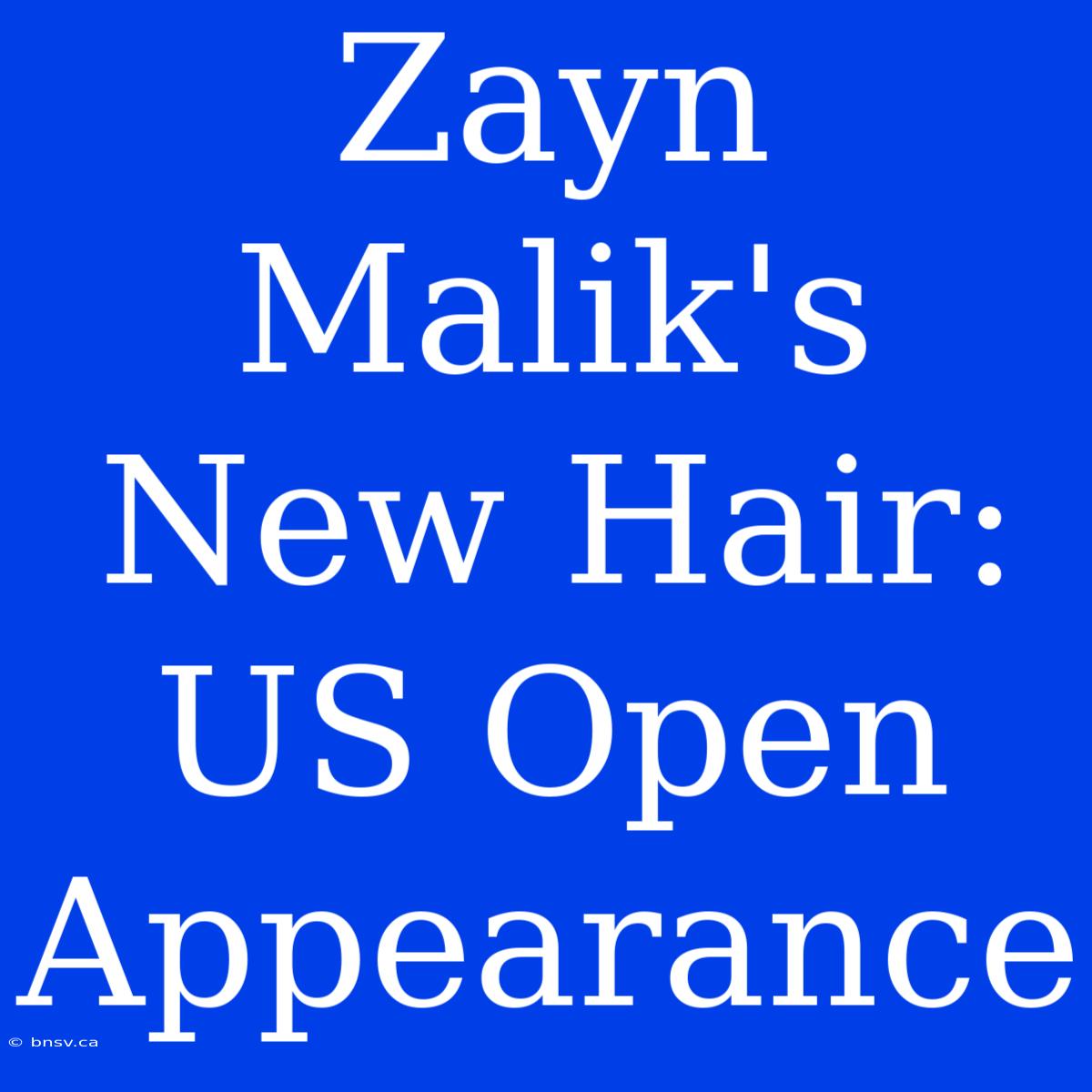 Zayn Malik's New Hair: US Open Appearance