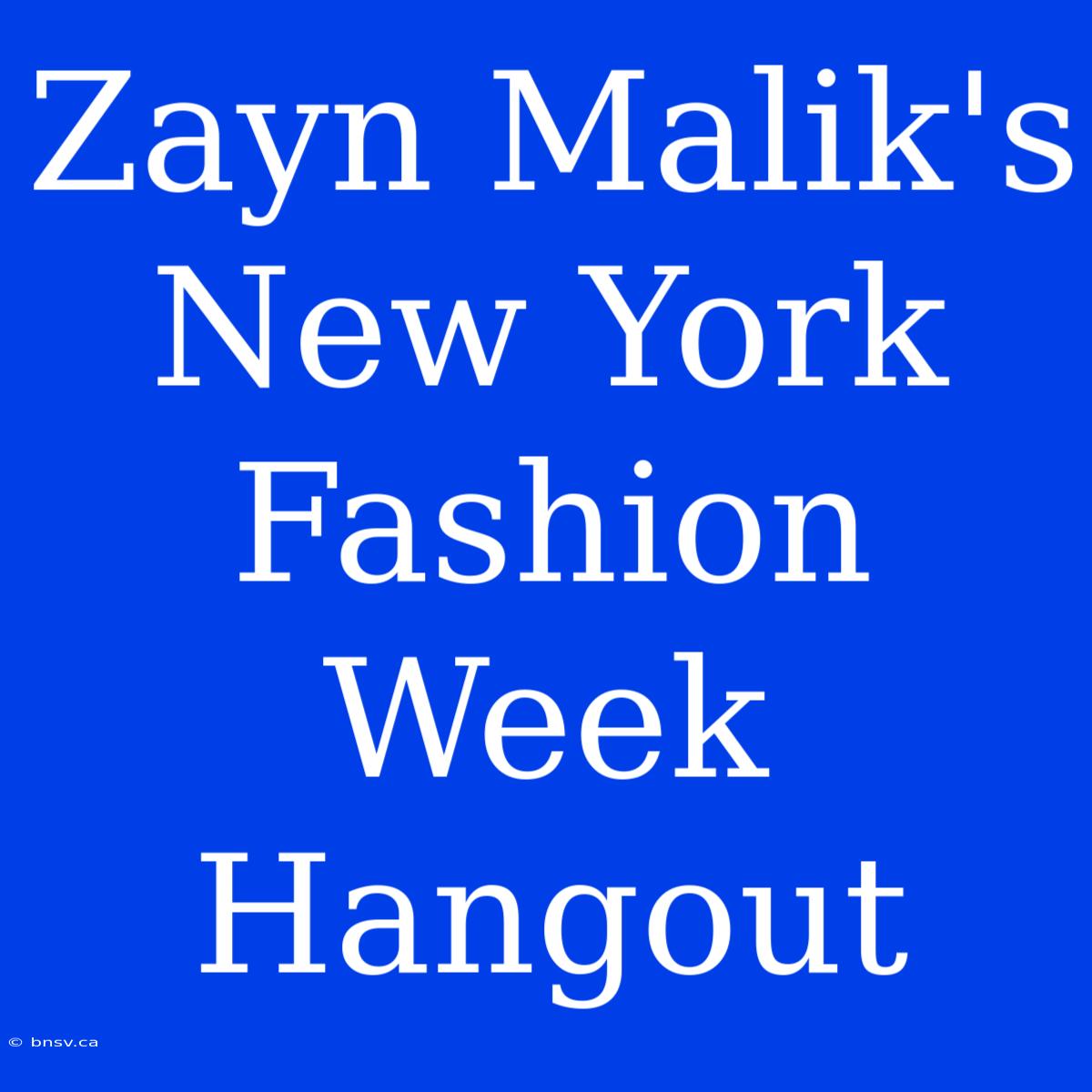 Zayn Malik's New York Fashion Week Hangout