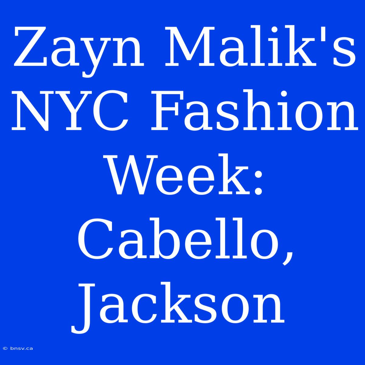 Zayn Malik's NYC Fashion Week:  Cabello, Jackson