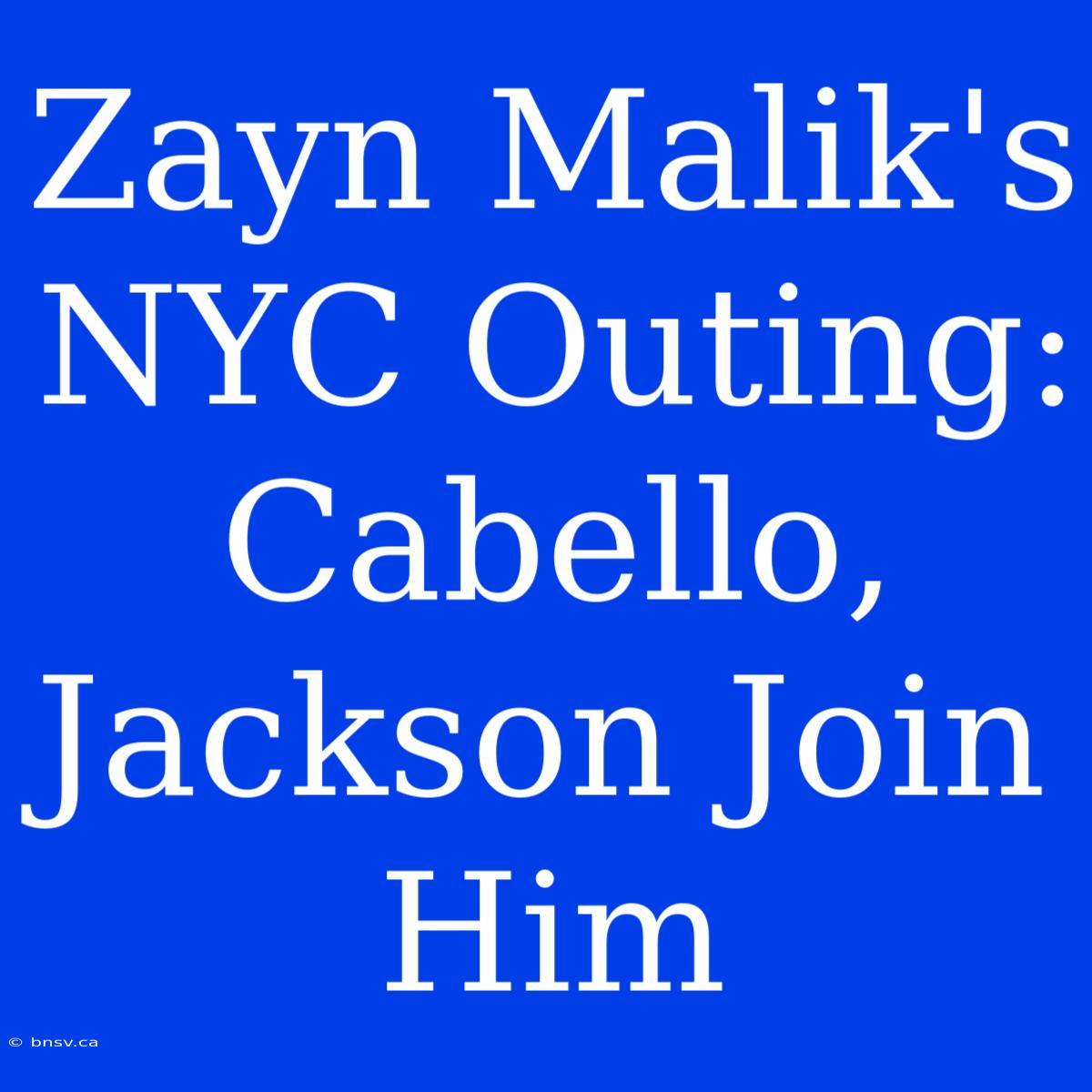 Zayn Malik's NYC Outing: Cabello, Jackson Join Him