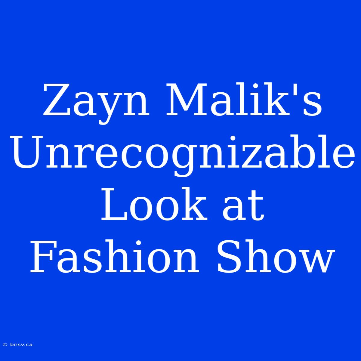 Zayn Malik's Unrecognizable Look At Fashion Show