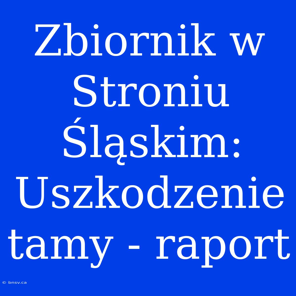 Zbiornik W Stroniu Śląskim: Uszkodzenie Tamy - Raport