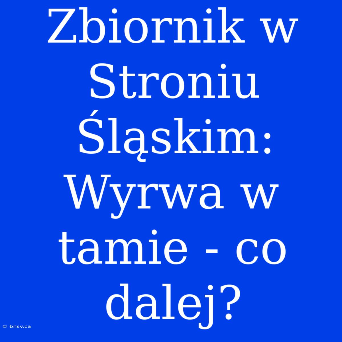 Zbiornik W Stroniu Śląskim: Wyrwa W Tamie - Co Dalej?