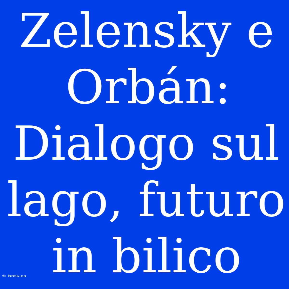 Zelensky E Orbán: Dialogo Sul Lago, Futuro In Bilico