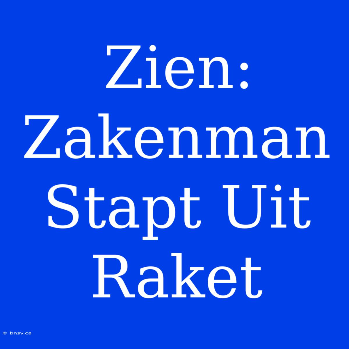 Zien: Zakenman Stapt Uit Raket