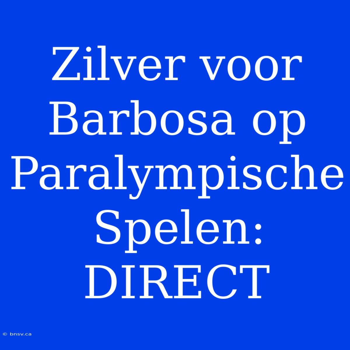 Zilver Voor Barbosa Op Paralympische Spelen: DIRECT