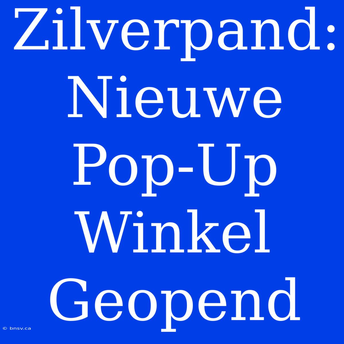 Zilverpand: Nieuwe Pop-Up Winkel Geopend