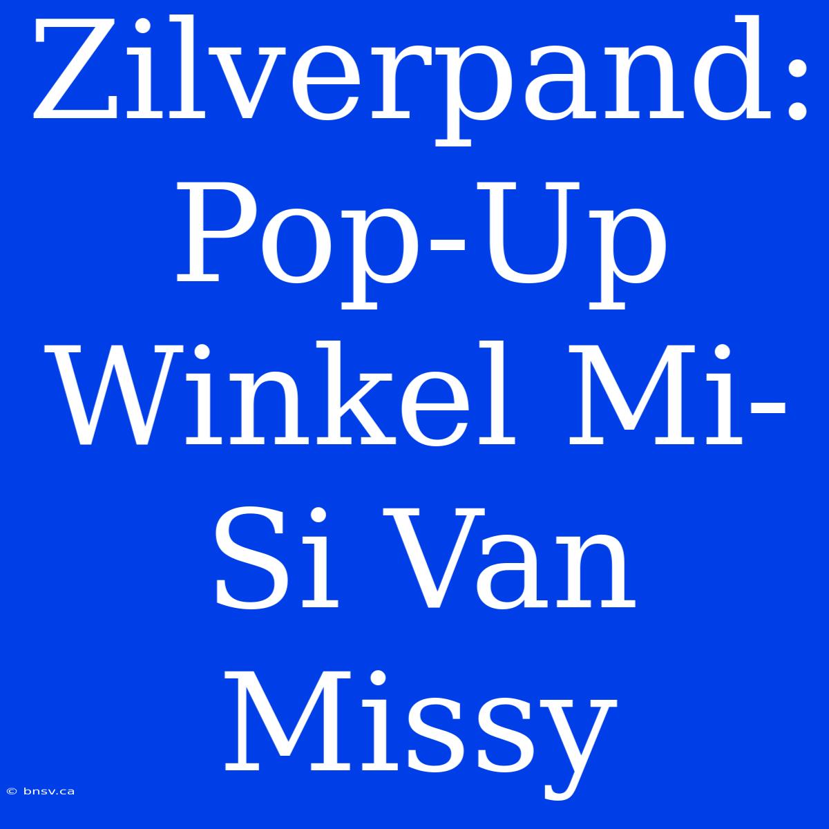 Zilverpand: Pop-Up Winkel Mi-Si Van Missy