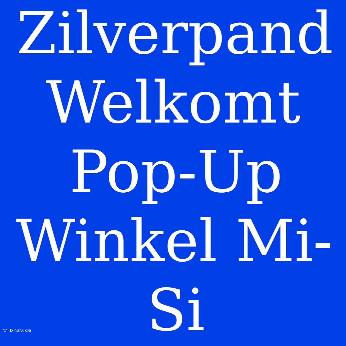 Zilverpand Welkomt Pop-Up Winkel Mi-Si