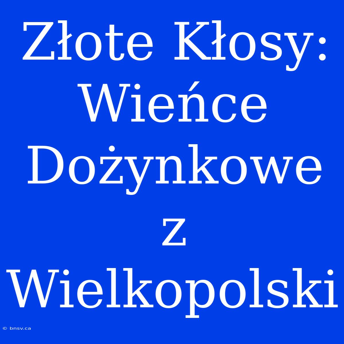 Złote Kłosy: Wieńce Dożynkowe Z Wielkopolski