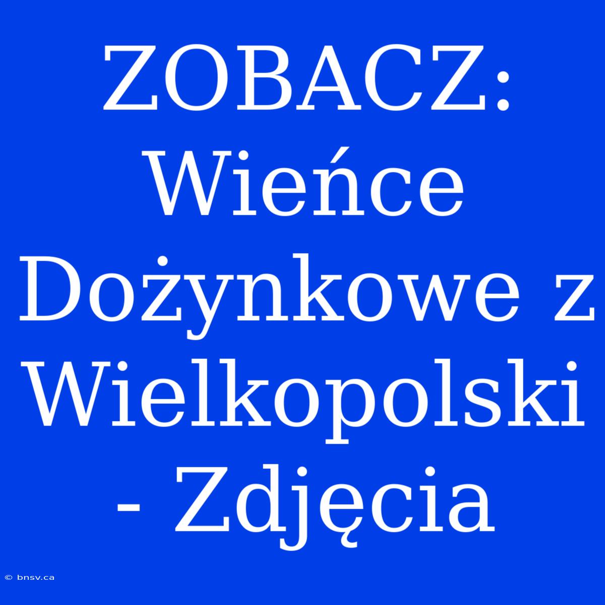 ZOBACZ: Wieńce Dożynkowe Z Wielkopolski - Zdjęcia