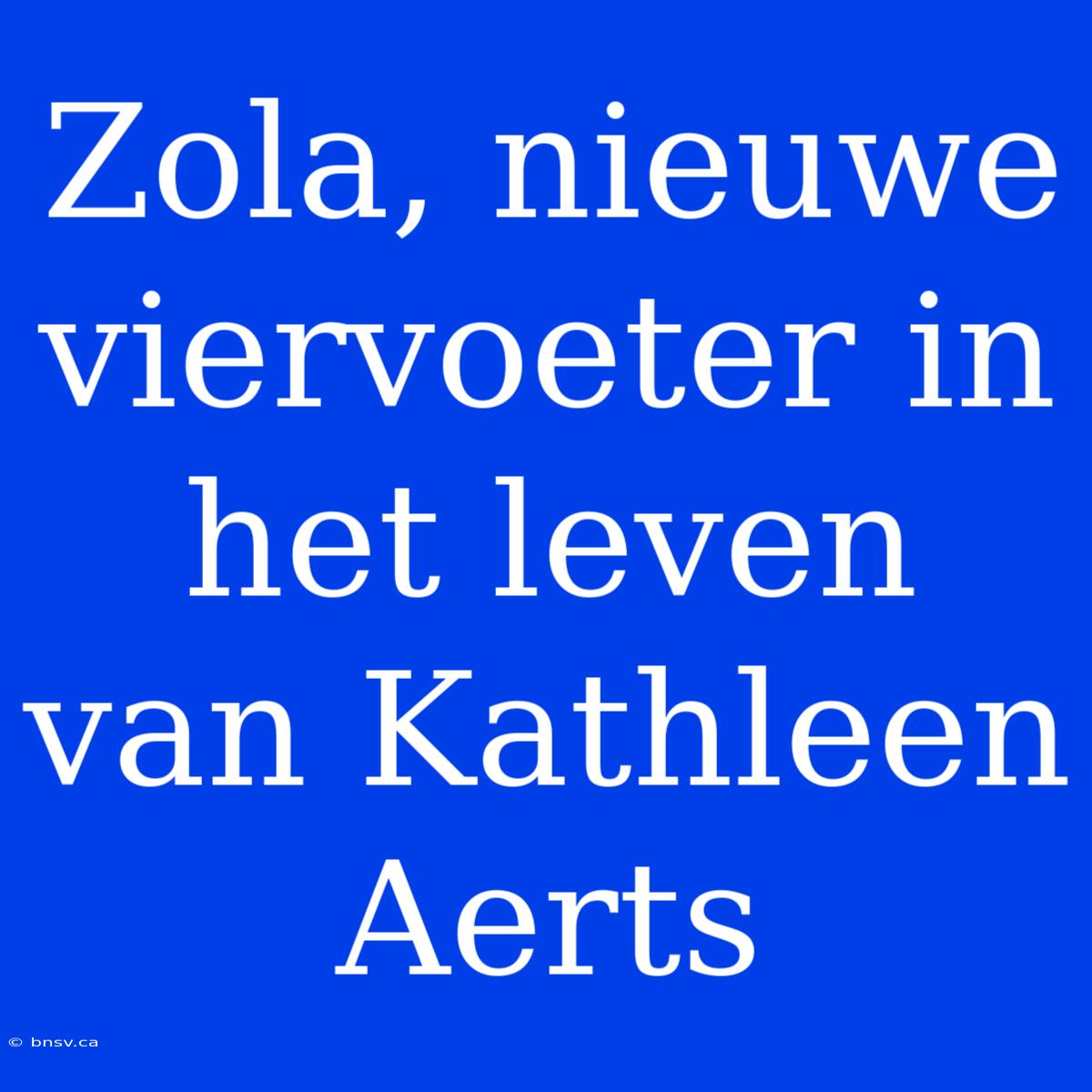 Zola, Nieuwe Viervoeter In Het Leven Van Kathleen Aerts