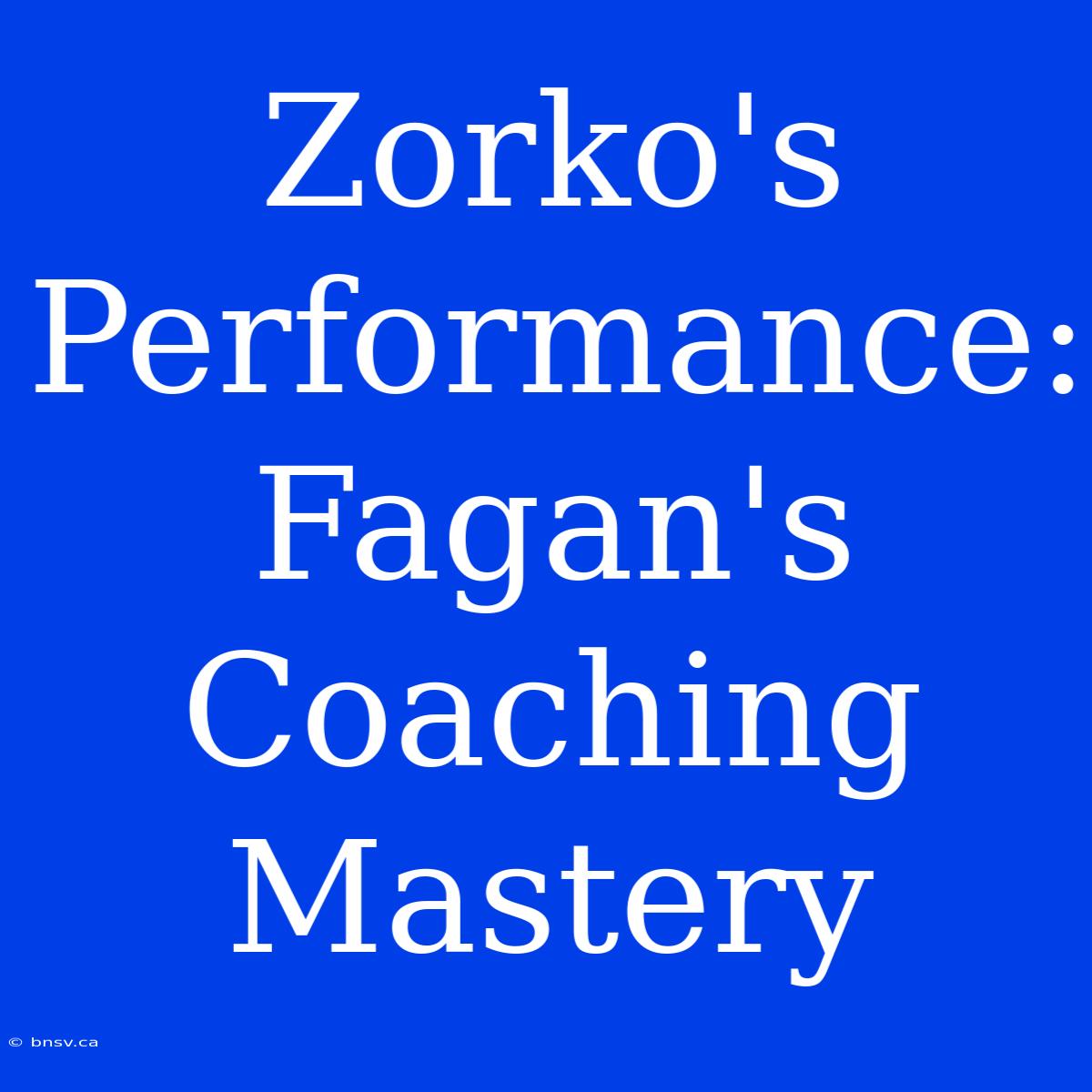 Zorko's Performance: Fagan's Coaching Mastery