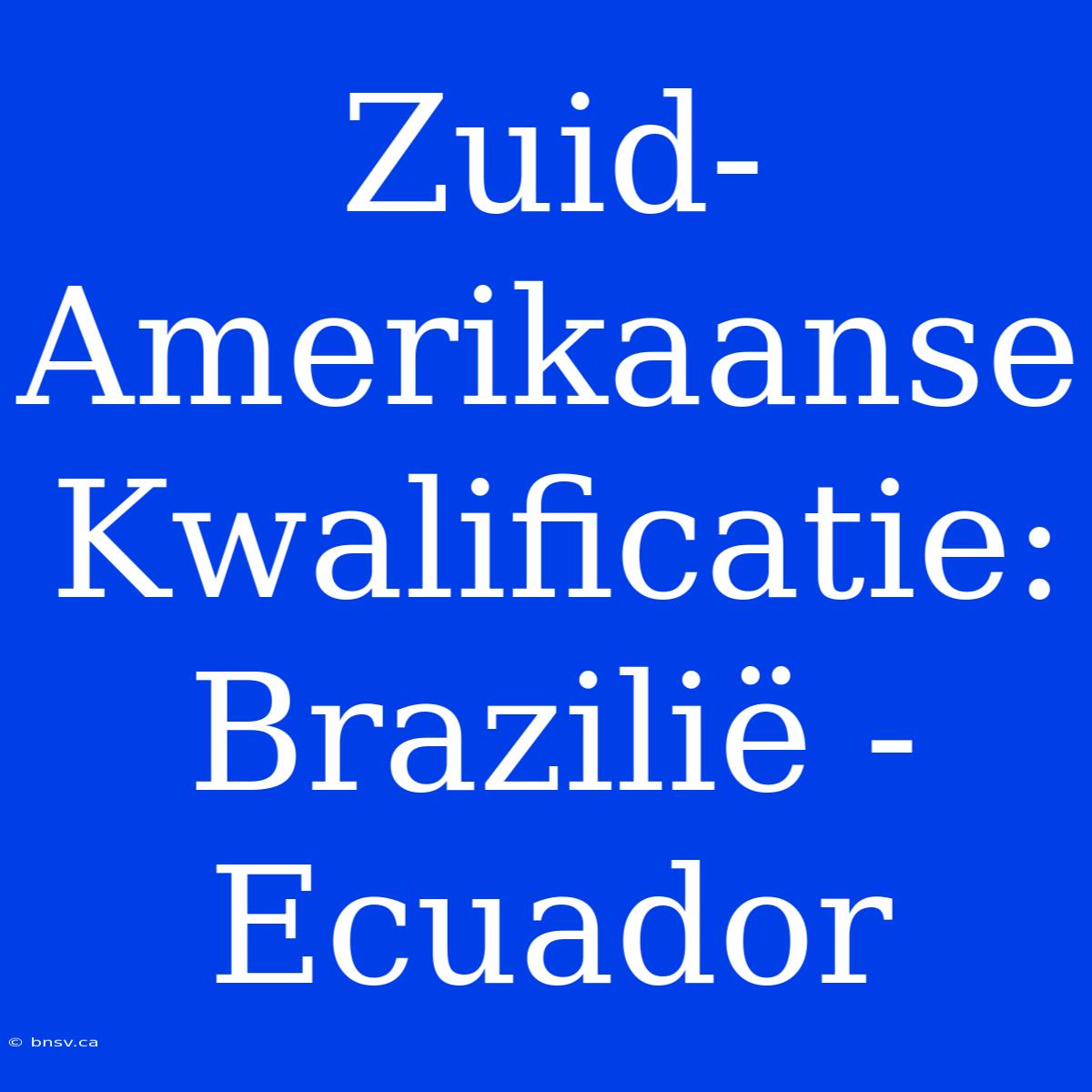 Zuid-Amerikaanse Kwalificatie: Brazilië - Ecuador