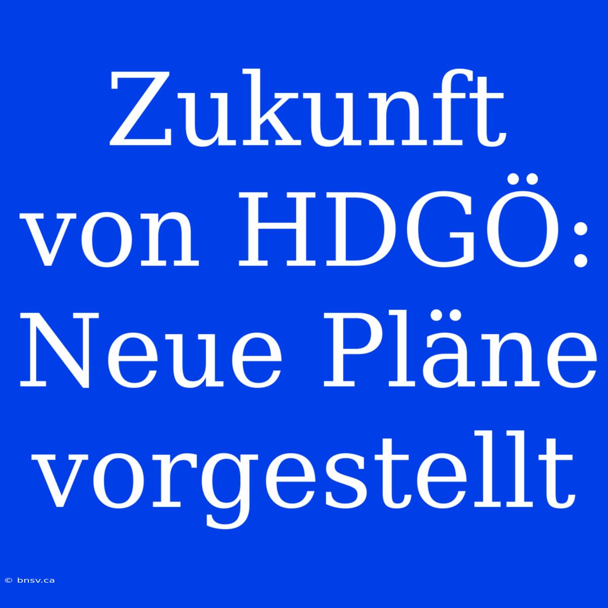 Zukunft Von HDGÖ: Neue Pläne Vorgestellt