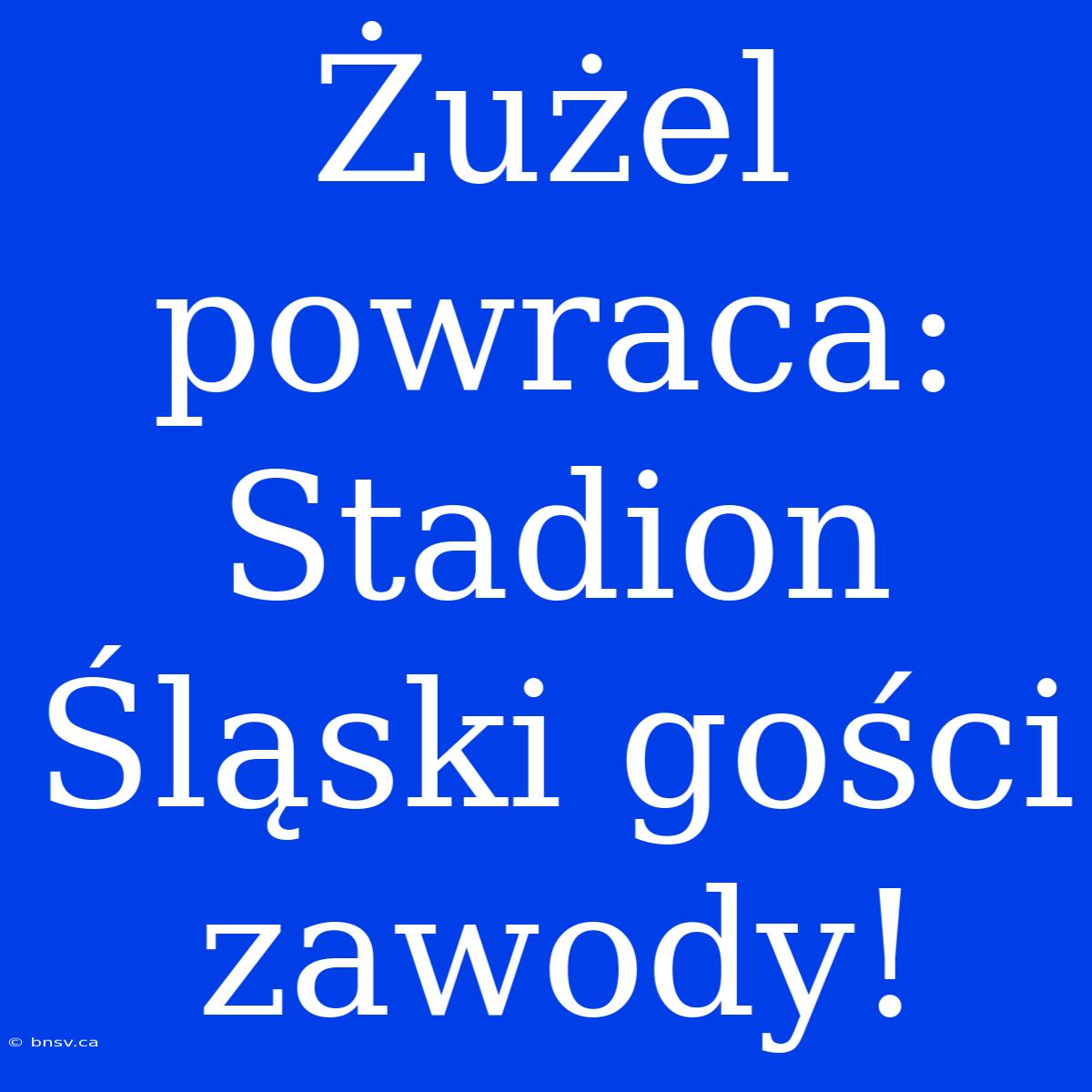 Żużel Powraca: Stadion Śląski Gości Zawody!