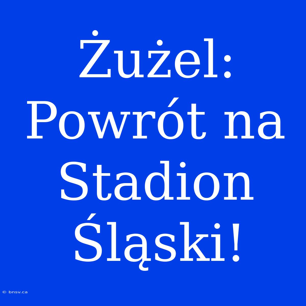 Żużel: Powrót Na Stadion Śląski!