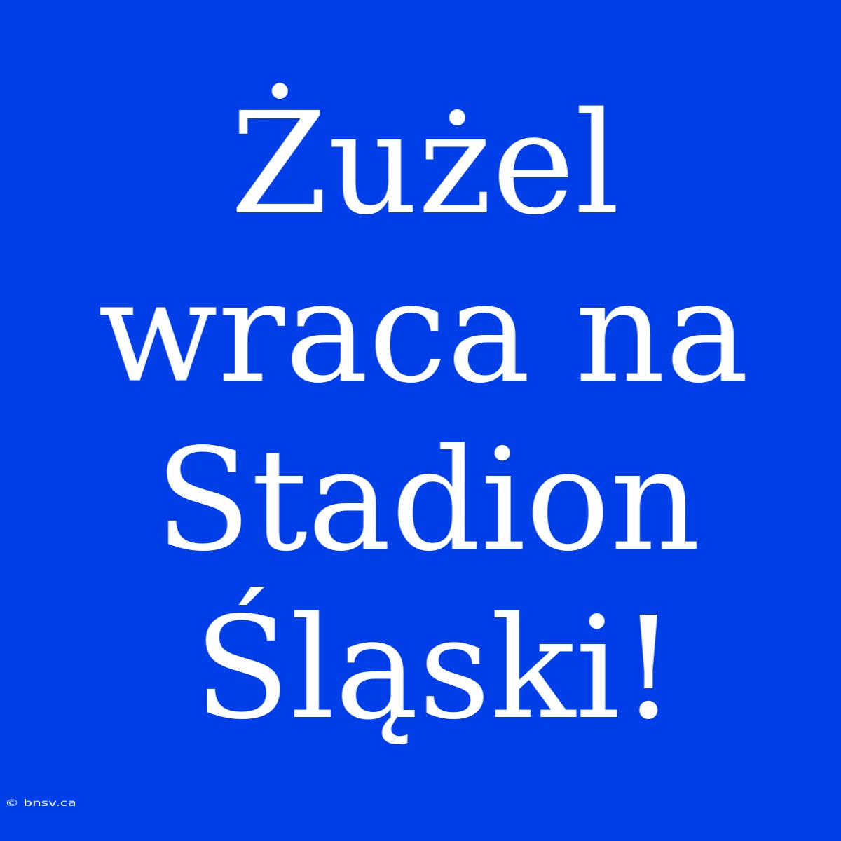 Żużel Wraca Na Stadion Śląski!