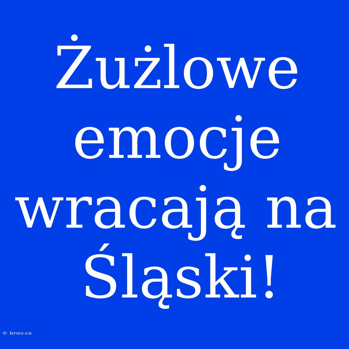 Żużlowe Emocje Wracają Na Śląski!