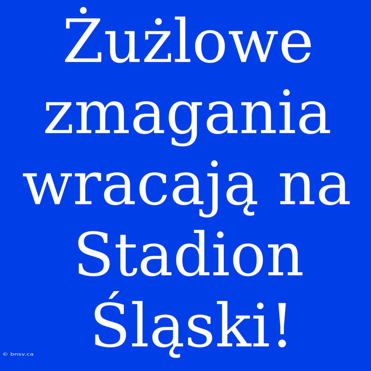 Żużlowe Zmagania Wracają Na Stadion Śląski!