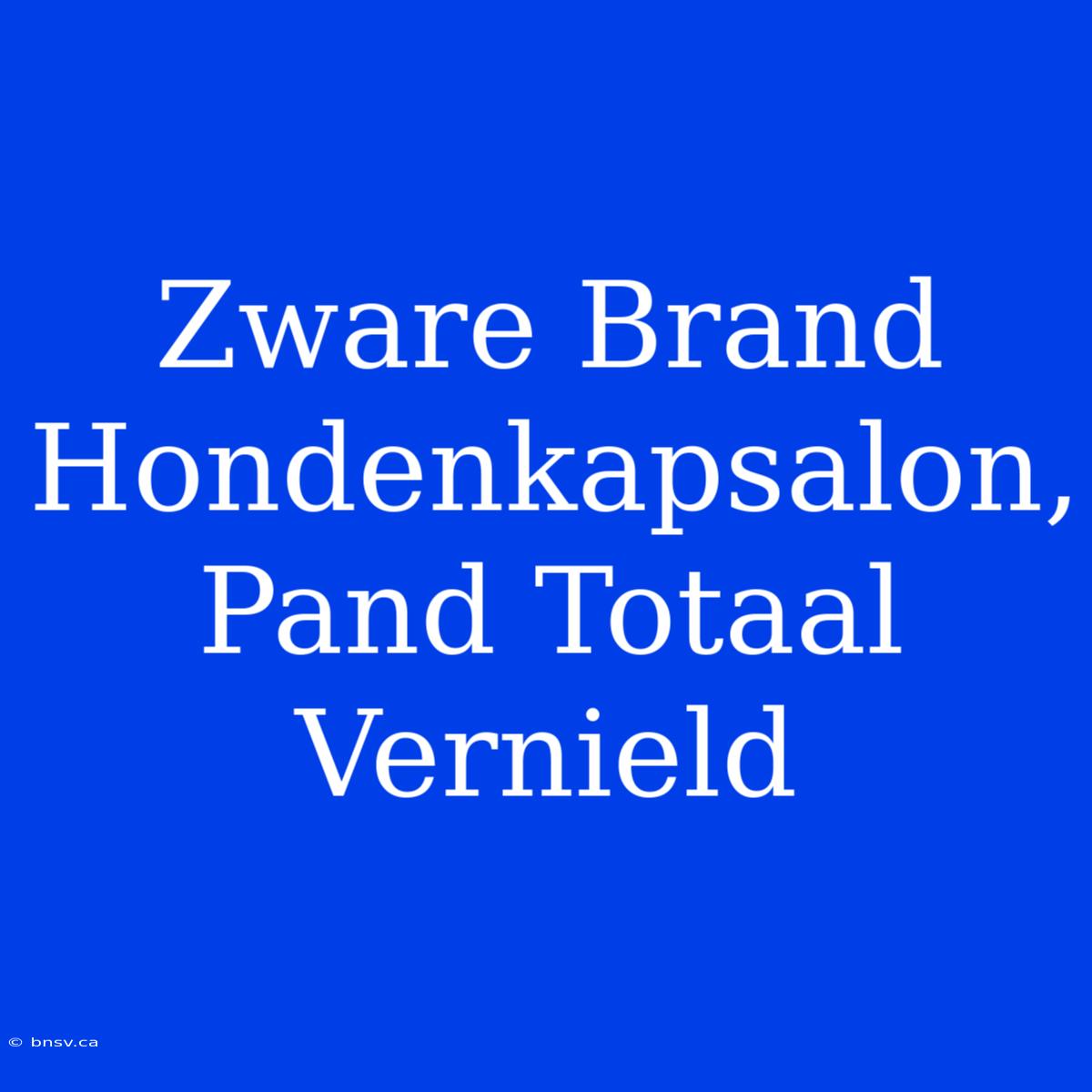 Zware Brand Hondenkapsalon, Pand Totaal Vernield