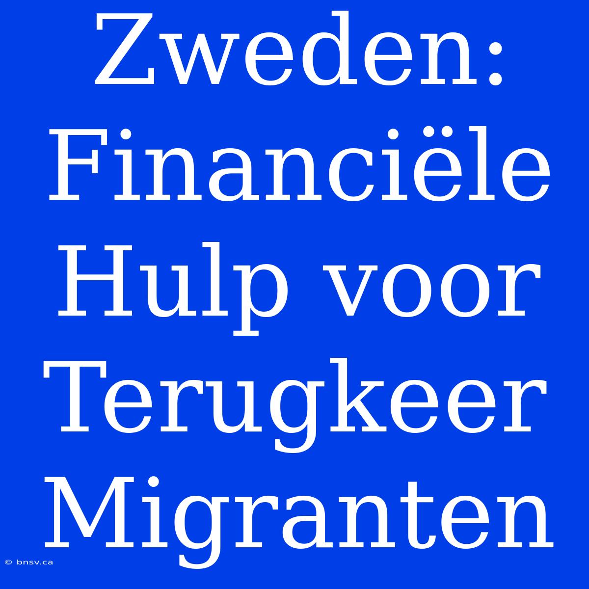 Zweden: Financiële Hulp Voor Terugkeer Migranten