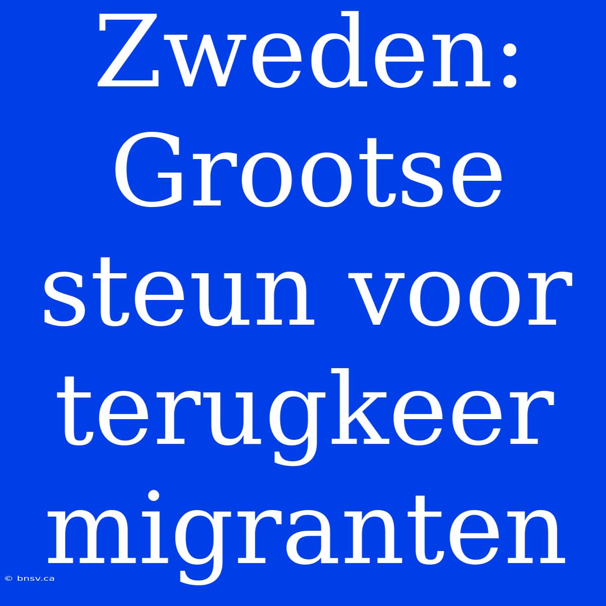 Zweden: Grootse Steun Voor Terugkeer Migranten