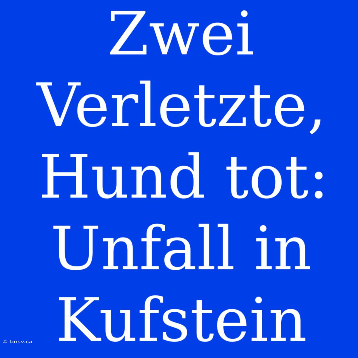 Zwei Verletzte, Hund Tot: Unfall In Kufstein