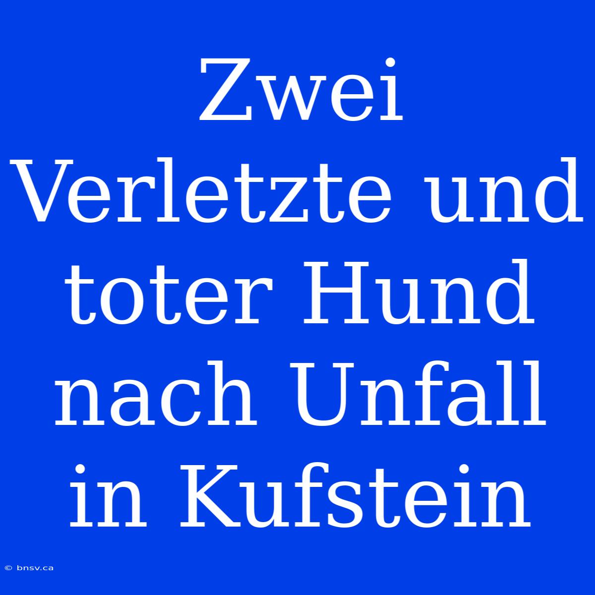 Zwei Verletzte Und Toter Hund Nach Unfall In Kufstein